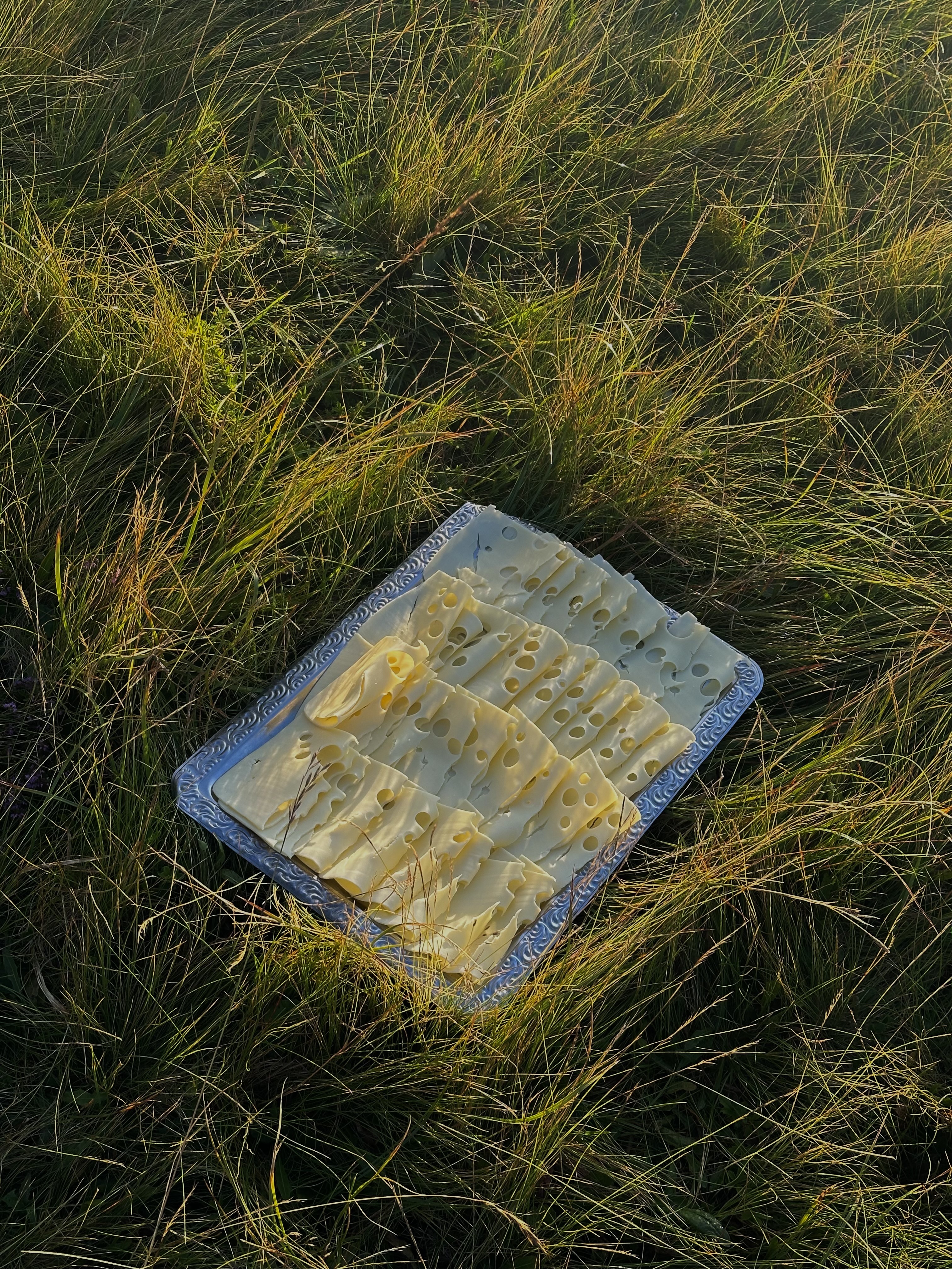 a cheeseplate in the grass